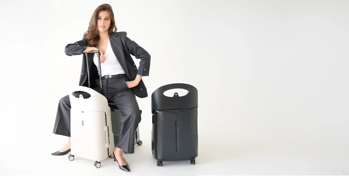 Luggage accessories